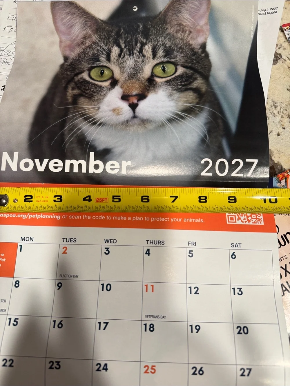2027 Special Edition Calendar - Cream/Orange